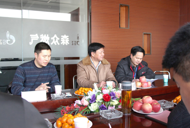 林口县政府与华体会官方版网站登录入口-华体会(中国)燃气项目洽谈.png